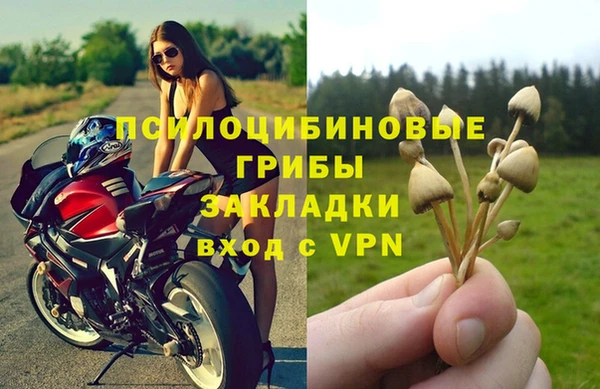 экстази Алексеевка