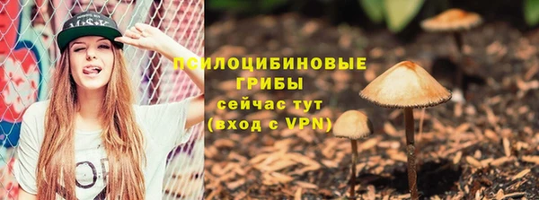 мяу мяу мука Абаза